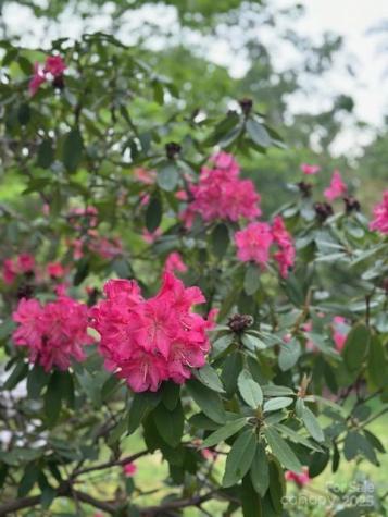 64 Marlowe Drive Asheville NC 28801