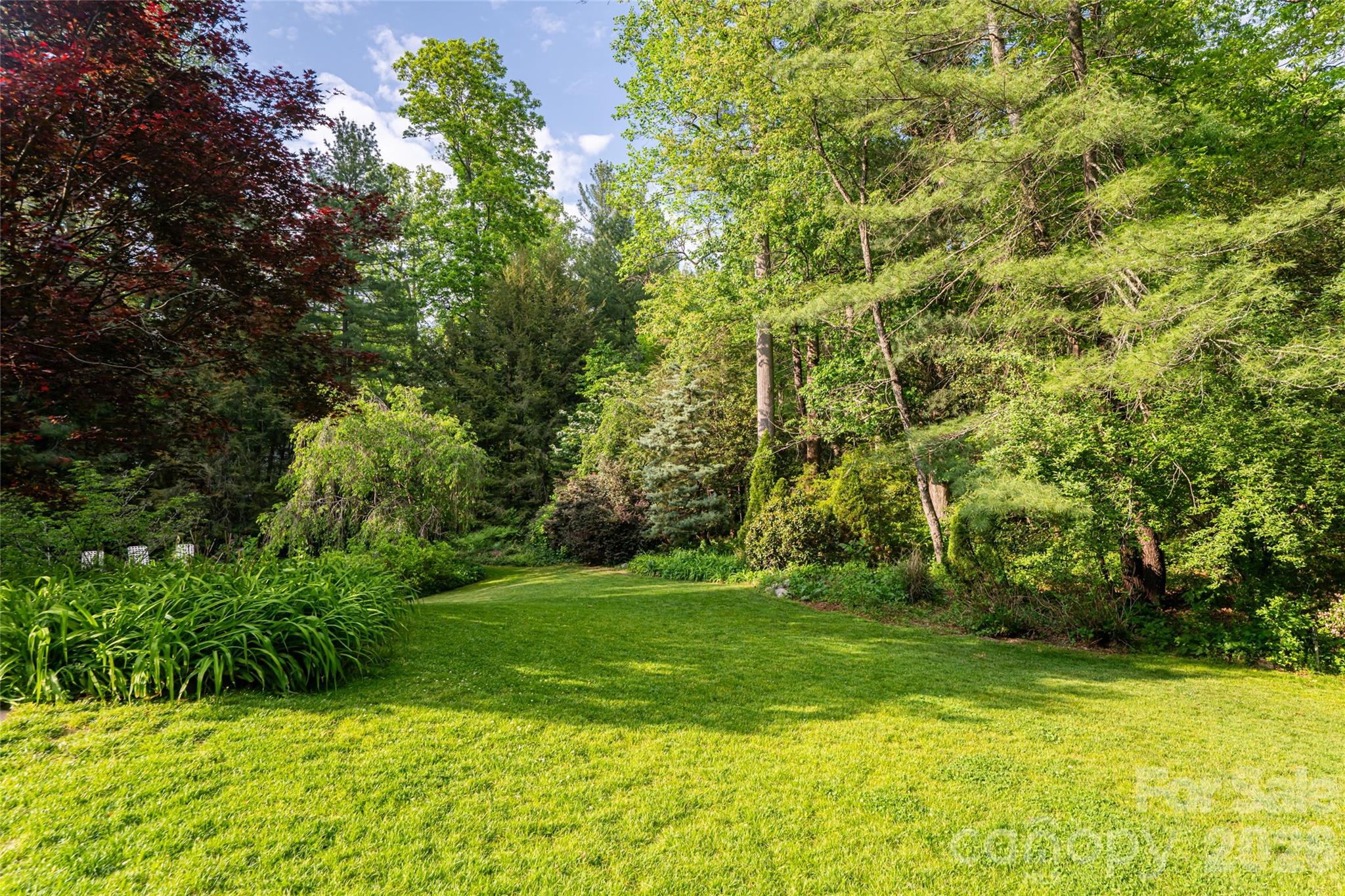 18 Forest Road Asheville NC 28803