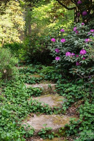 18 Forest Road Asheville NC 28803