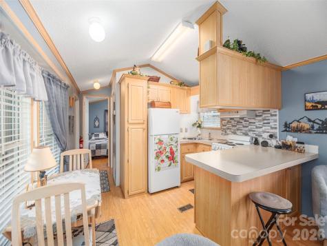4 Levi Downs Maggie Valley NC 28751