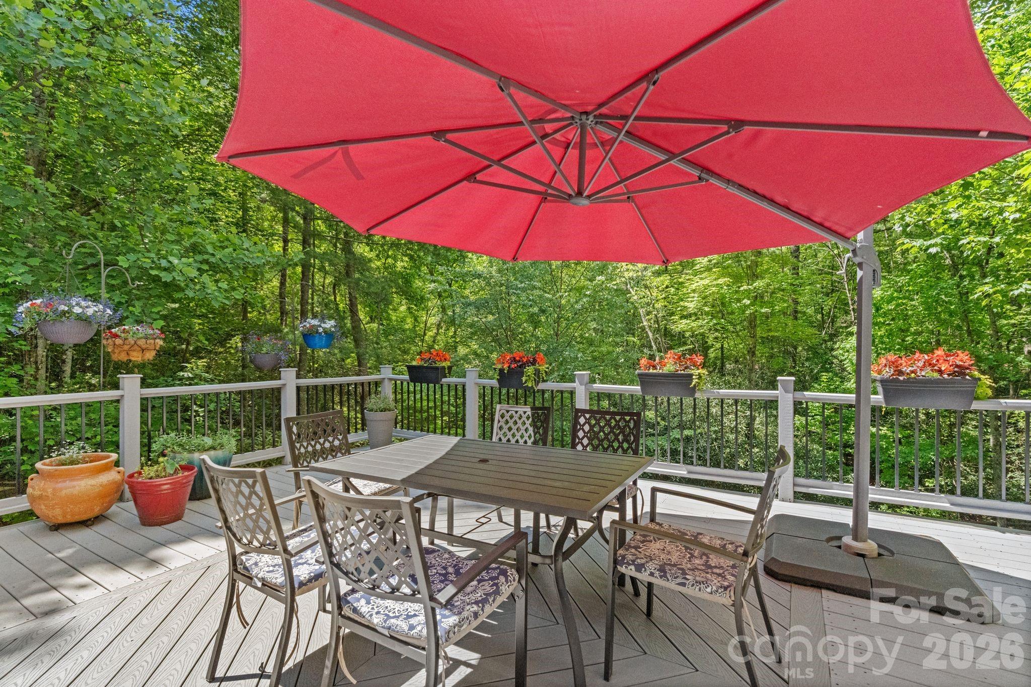 11 Blue Damsel Court Biltmore Lake NC 28715