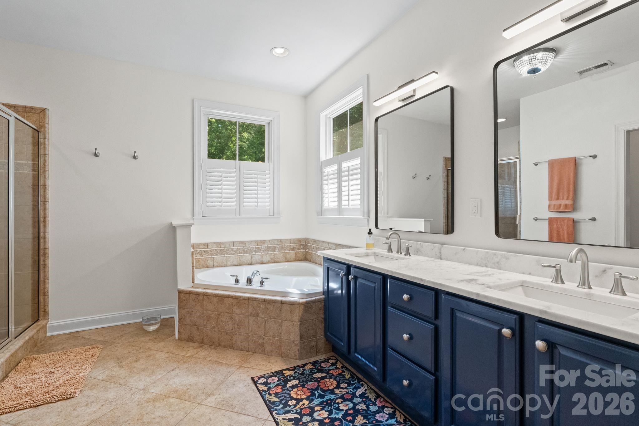 11 Blue Damsel Court Biltmore Lake NC 28715