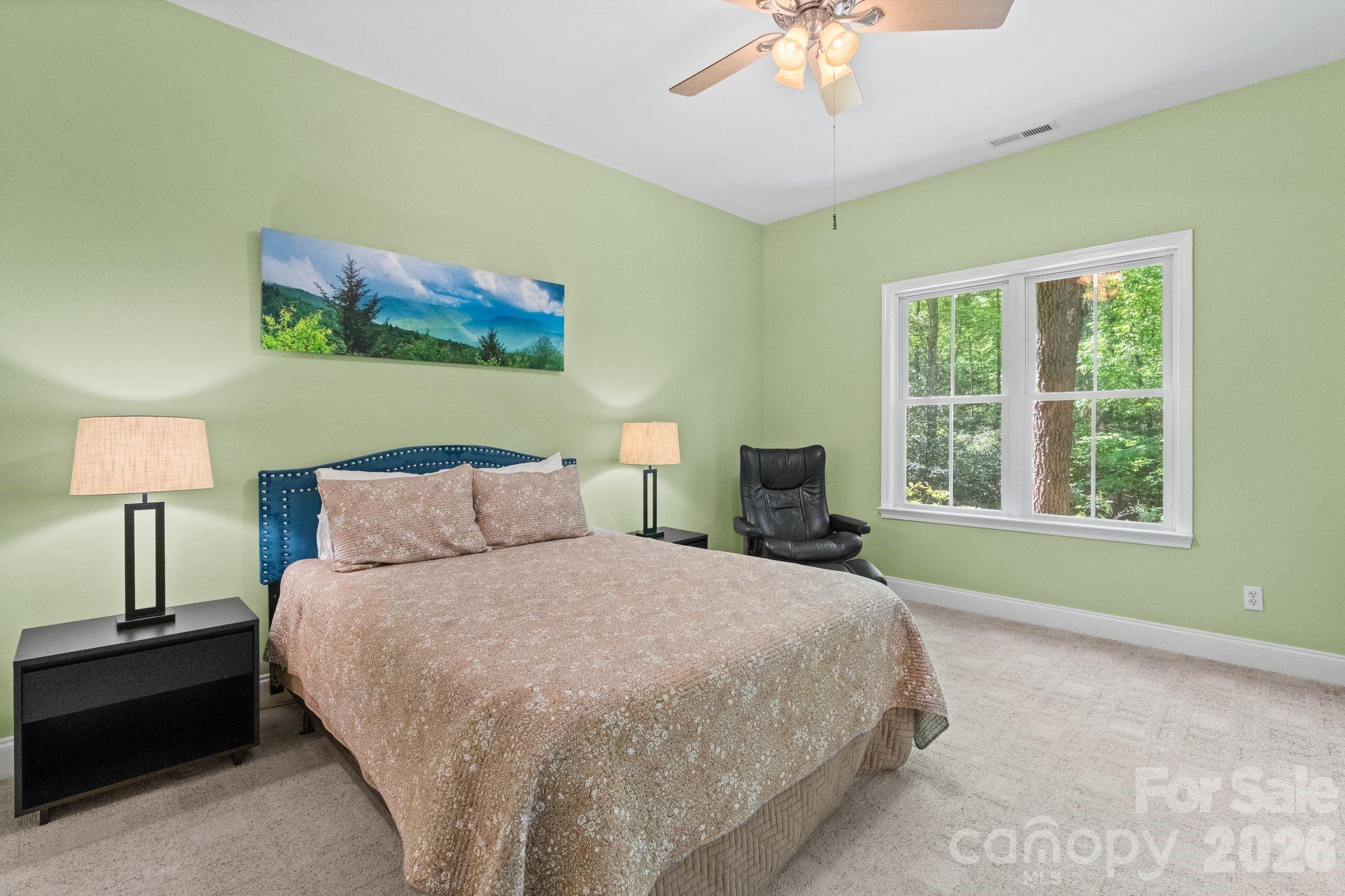 11 Blue Damsel Court Biltmore Lake NC 28715