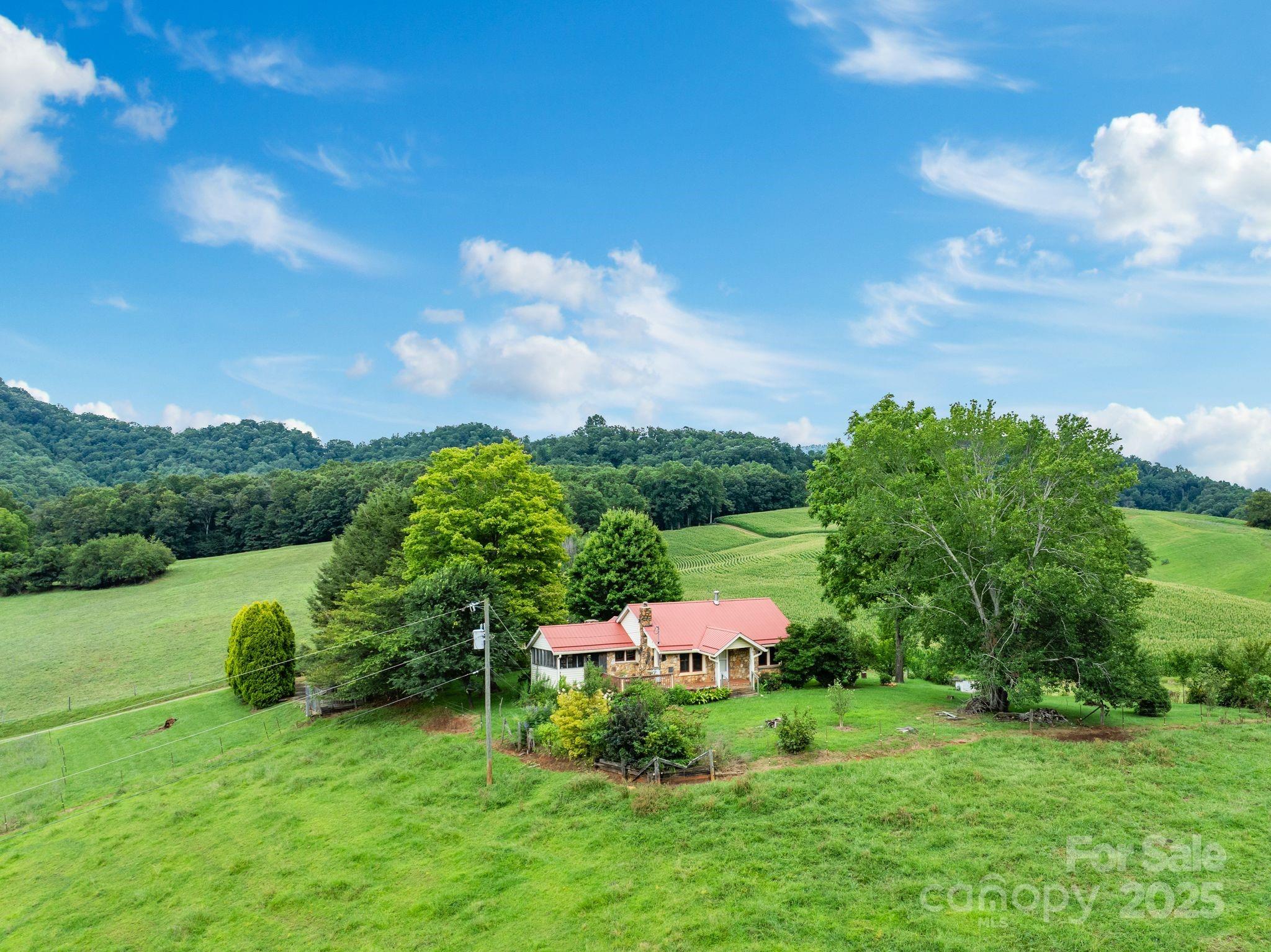 61 Brooks Branch Road Leicester NC 28748