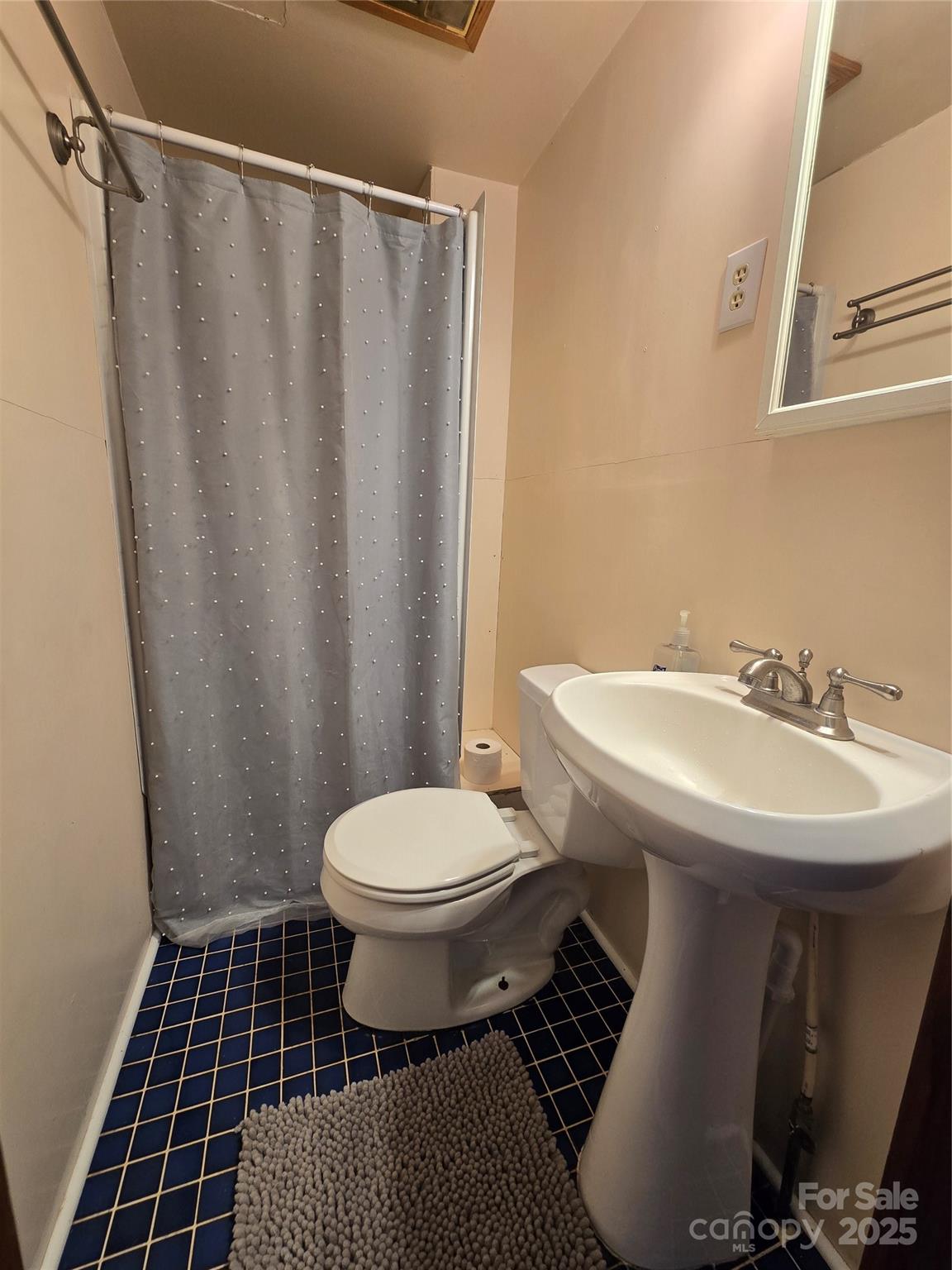 61 Brooks Branch Road Leicester NC 28748