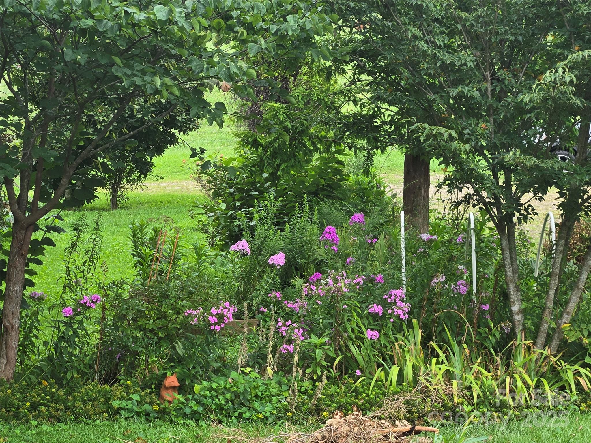 61 Brooks Branch Road Leicester NC 28748