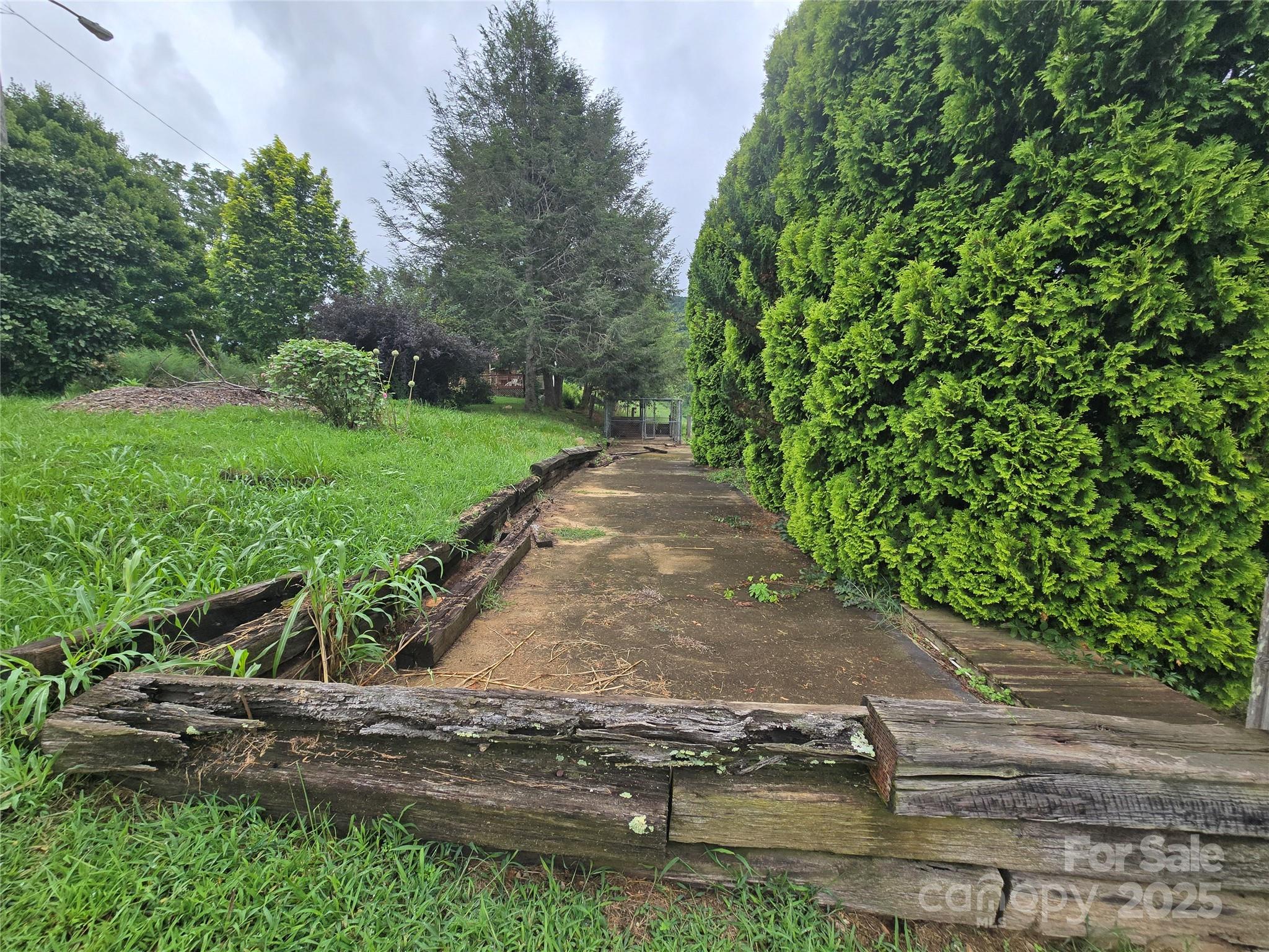 61 Brooks Branch Road Leicester NC 28748