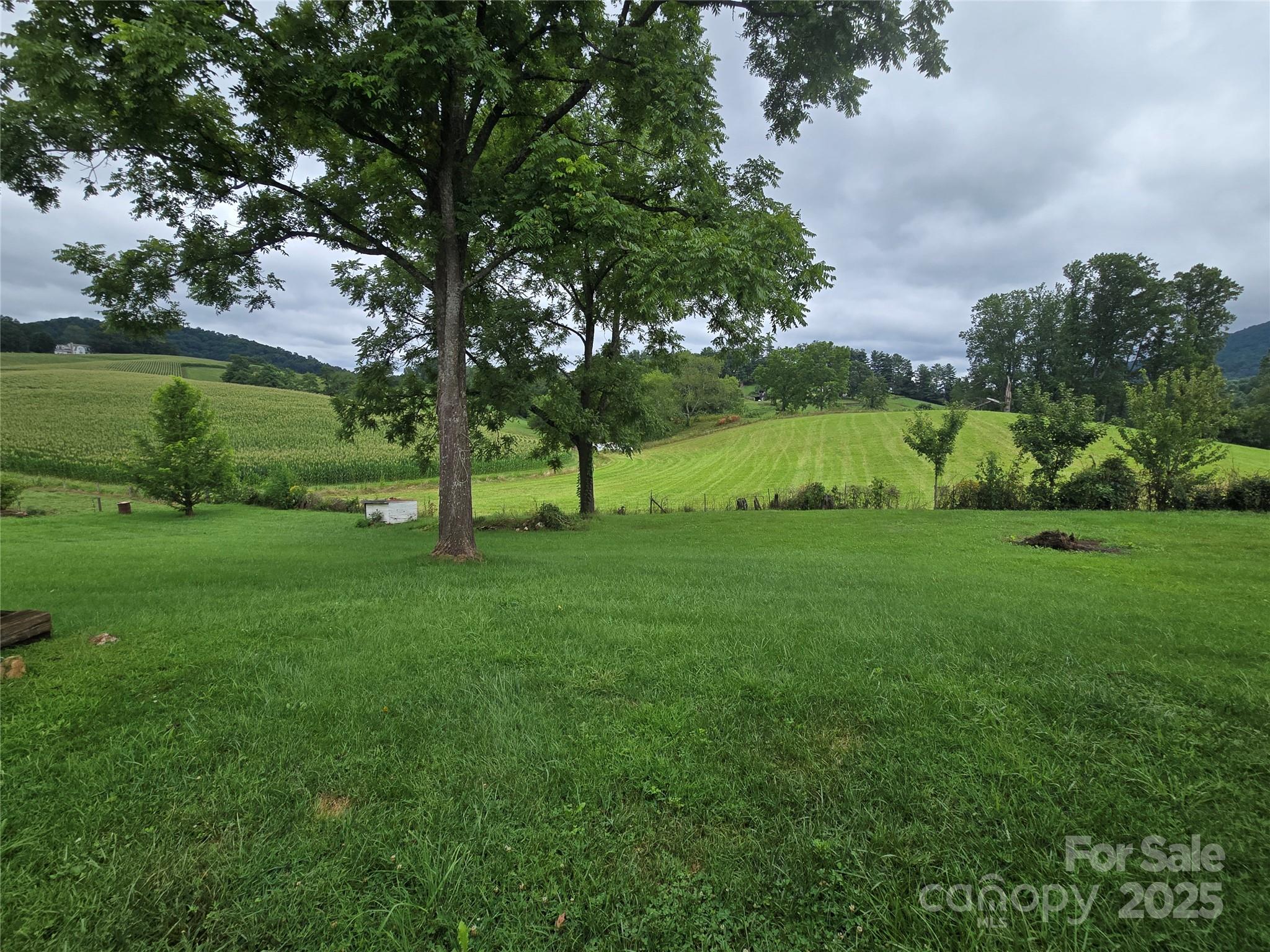 61 Brooks Branch Road Leicester NC 28748