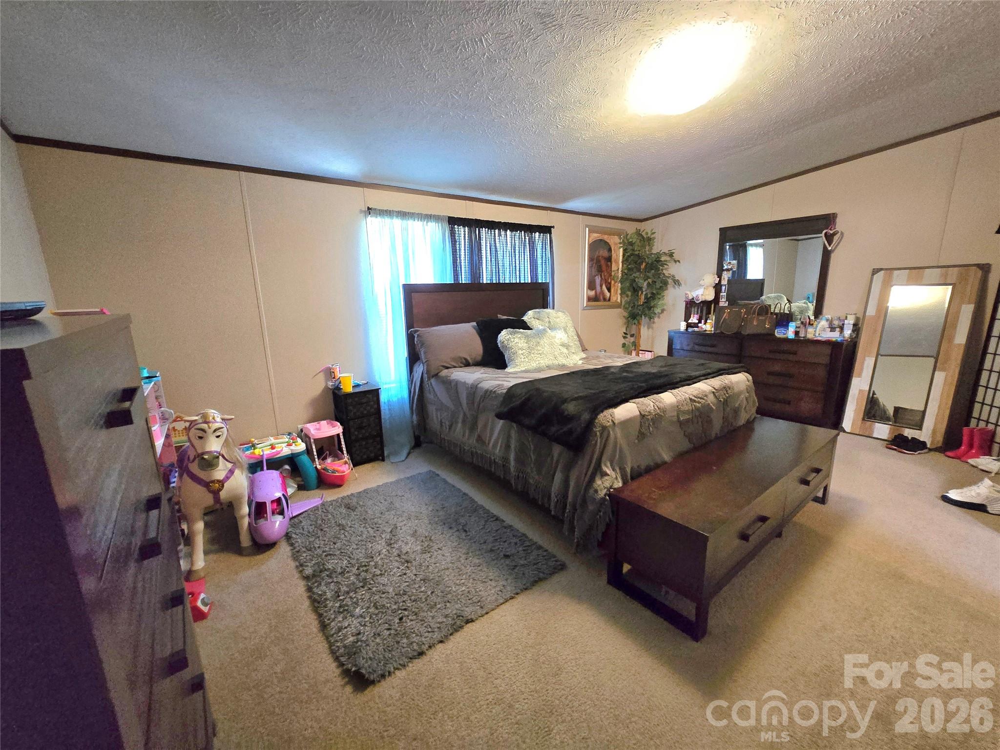 221 Turkey Pen Gap Road Horse Shoe NC 28742