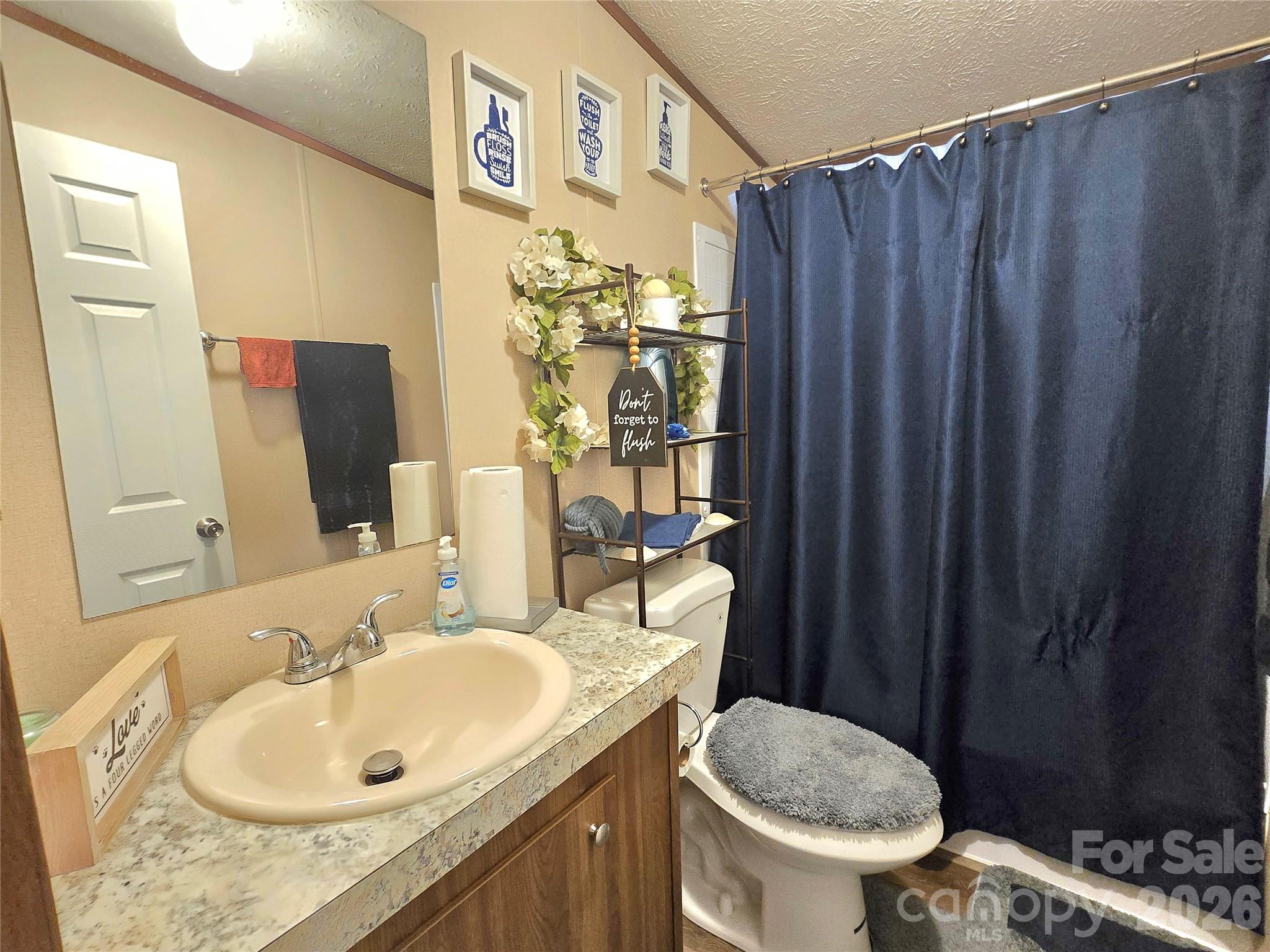 221 Turkey Pen Gap Road Horse Shoe NC 28742