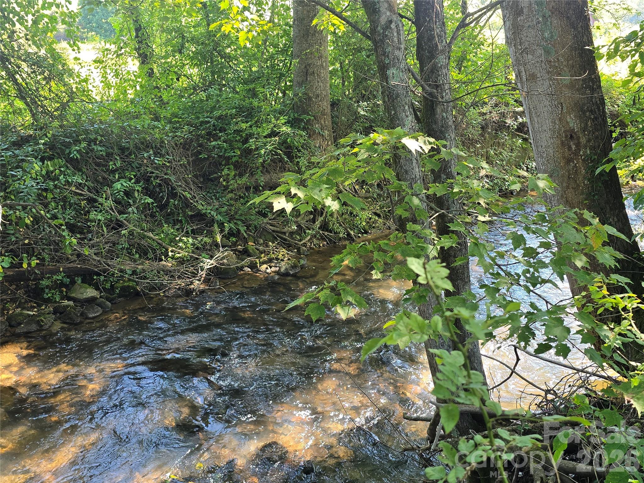 221 Turkey Pen Gap Road Horse Shoe NC 28742