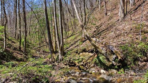 1837 E Alarka Road Bryson City NC 28713