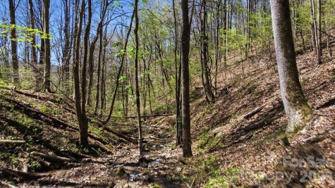 1837 E Alarka Road Bryson City NC 28713