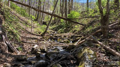 1837 E Alarka Road Bryson City NC 28713