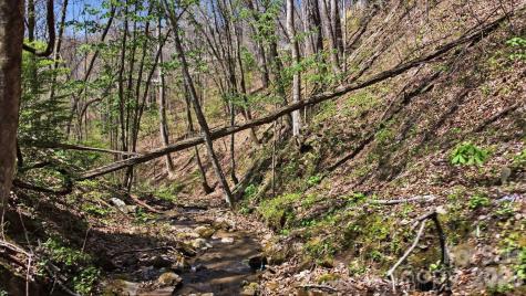 1837 E Alarka Road Bryson City NC 28713