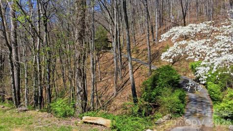 1837 E Alarka Road Bryson City NC 28713