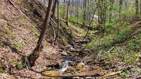 1837 E Alarka Road Bryson City NC 28713