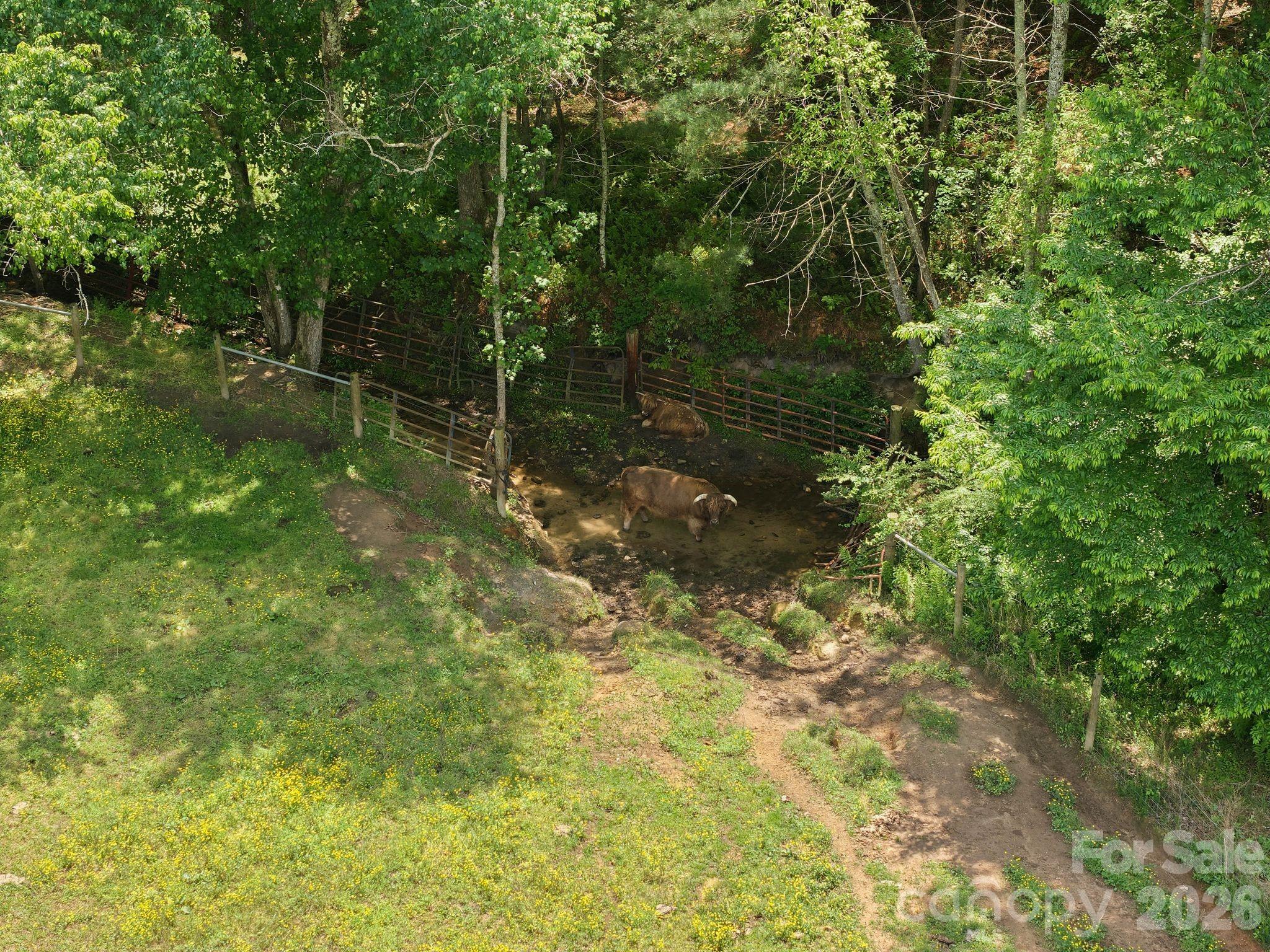 2305 Monteith Lane Connelly Springs NC 28612