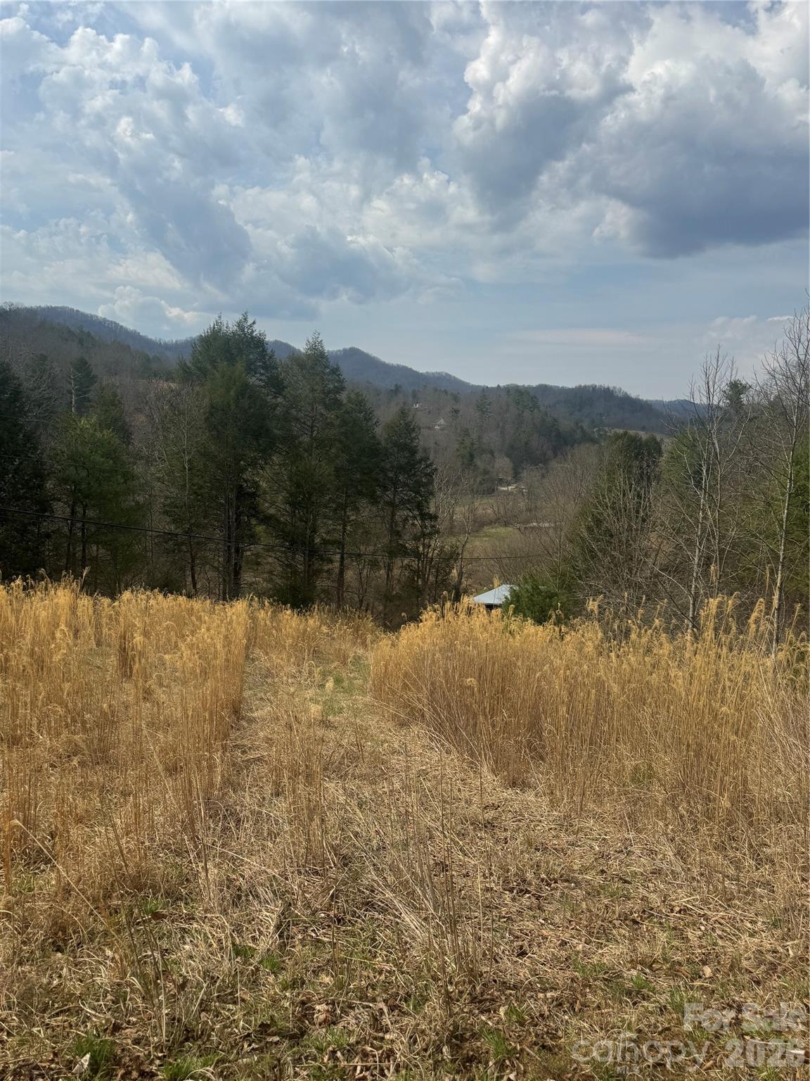 1820 Grapevine Road Marshall NC 28753