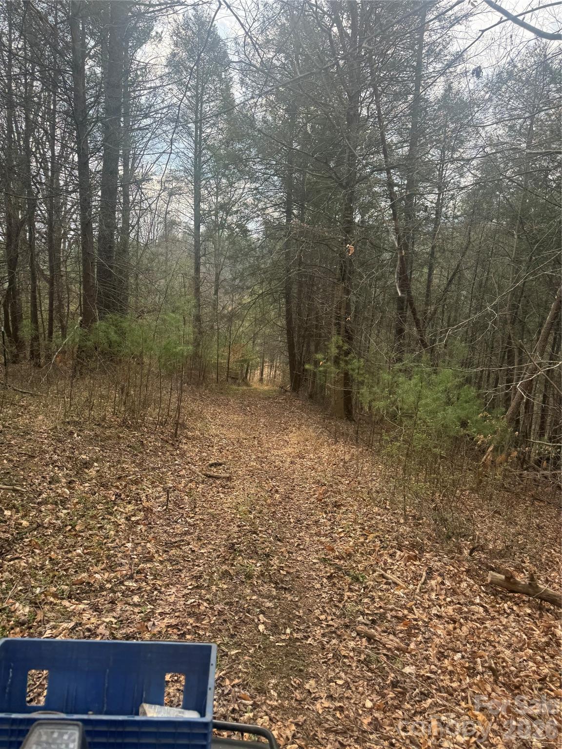 1820 Grapevine Road Marshall NC 28753