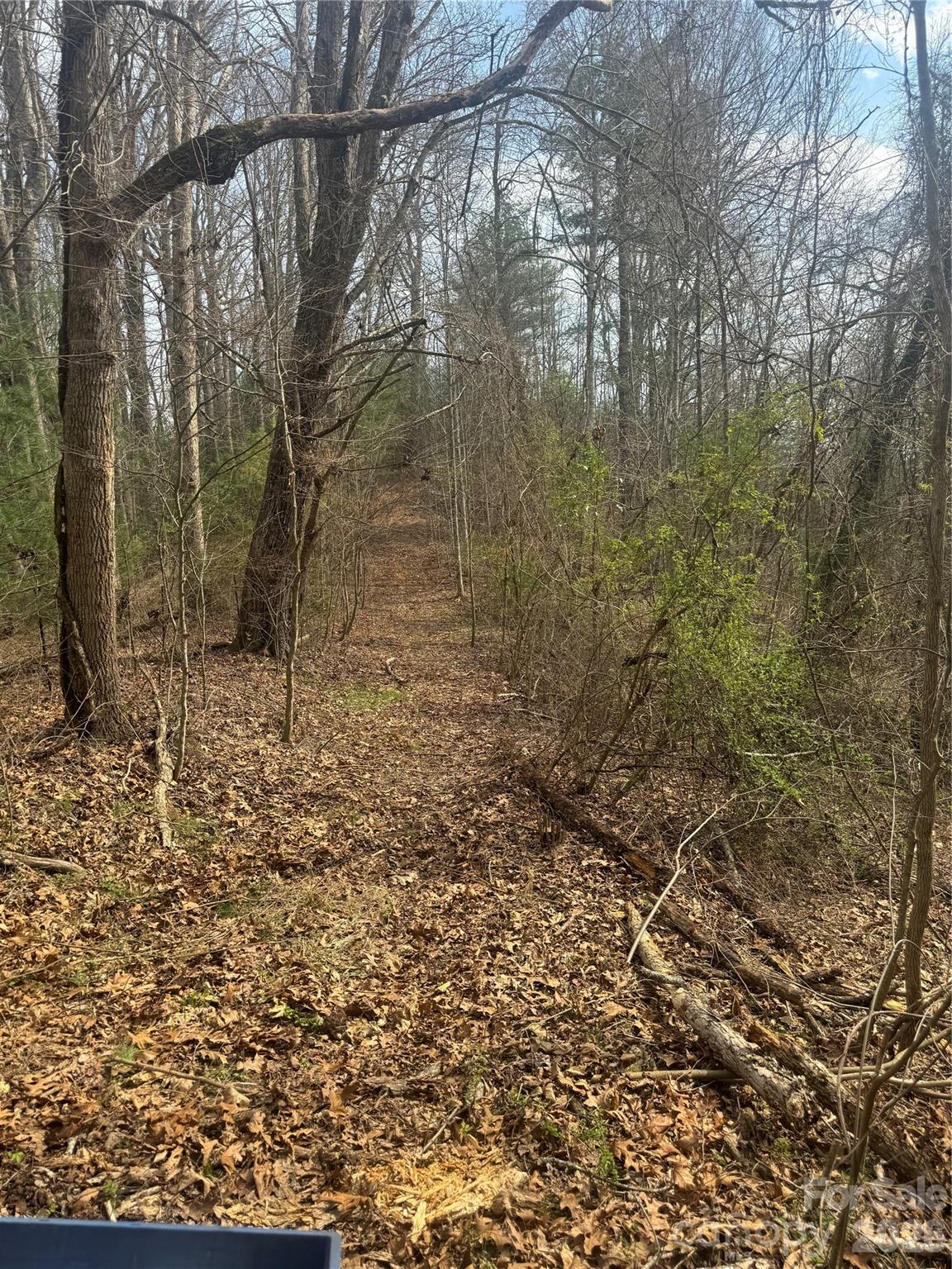 1820 Grapevine Road Marshall NC 28753