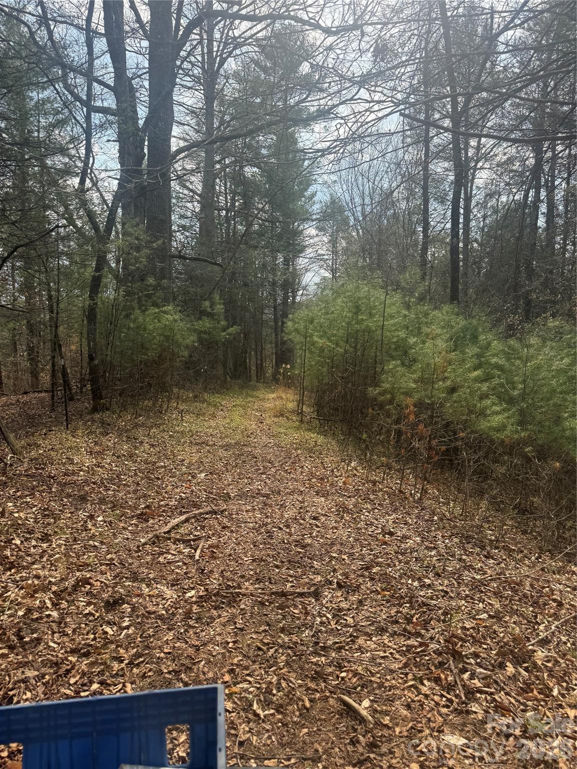 1820 Grapevine Road Marshall NC 28753
