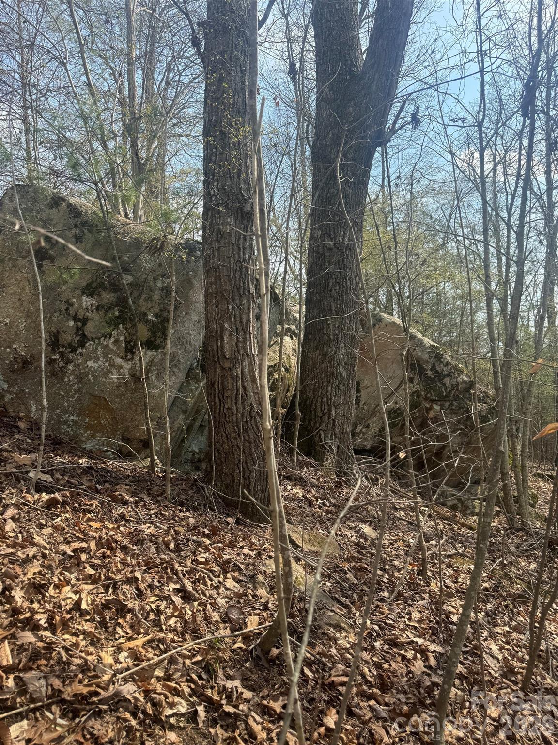 1820 Grapevine Road Marshall NC 28753
