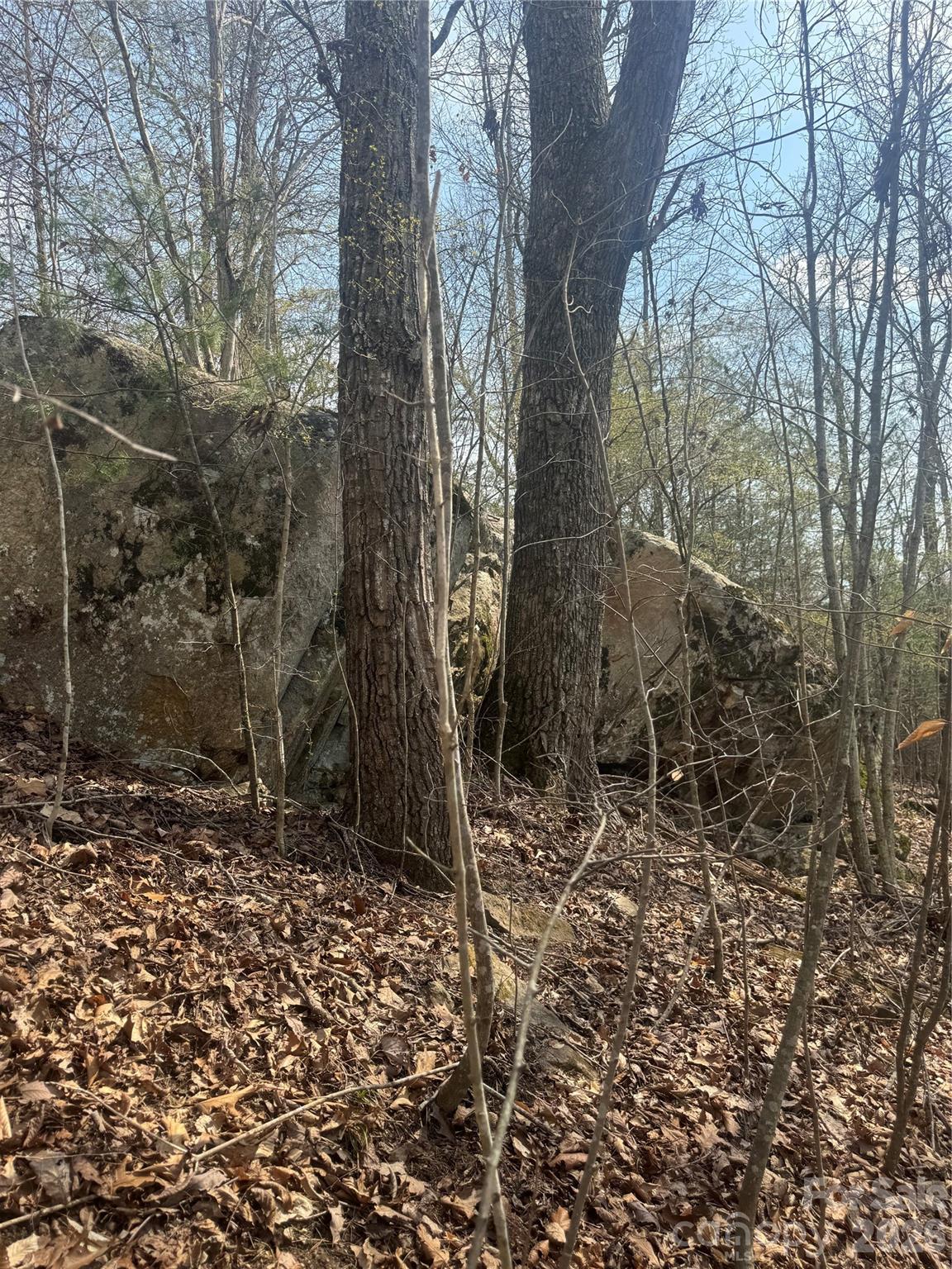 1820 Grapevine Road Marshall NC 28753