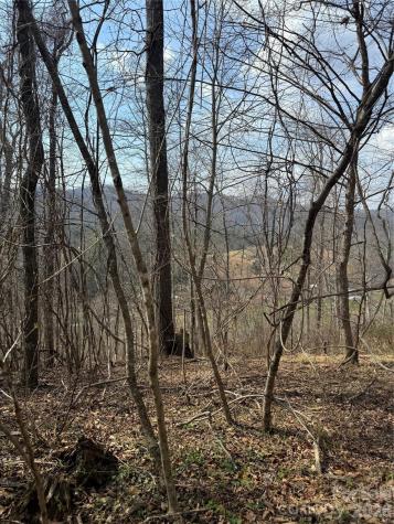 1820 Grapevine Road Marshall NC 28753