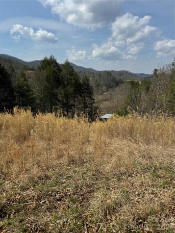 1820 Grapevine Road Marshall NC 28753