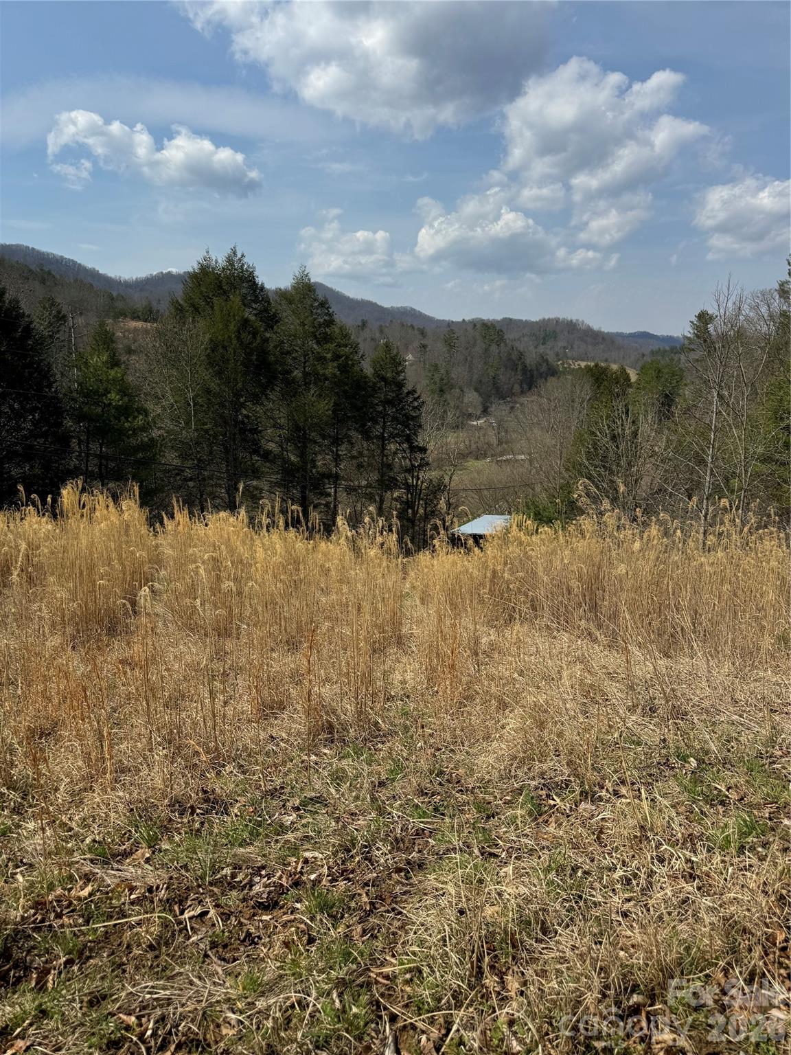 1820 Grapevine Road Marshall NC 28753