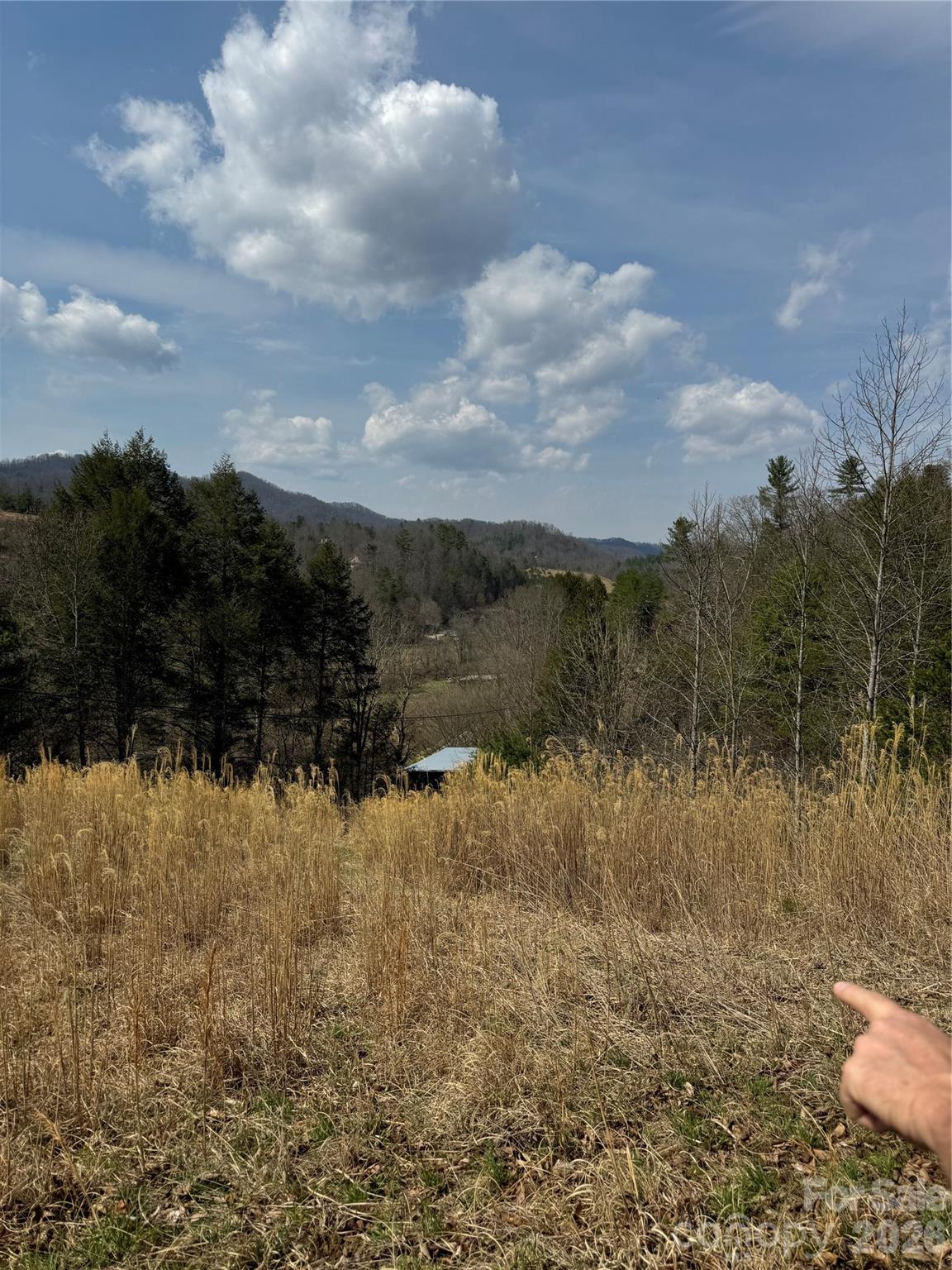 1820 Grapevine Road Marshall NC 28753