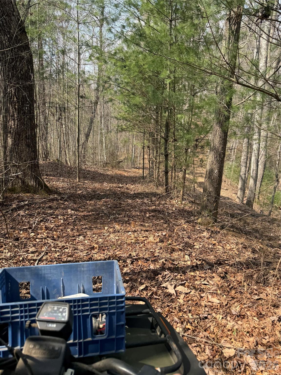 1820 Grapevine Road Marshall NC 28753