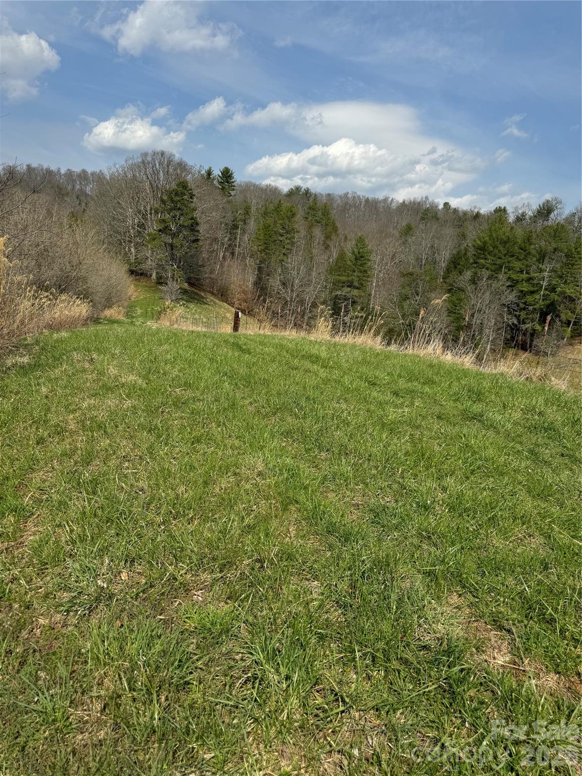 1820 Grapevine Road Marshall NC 28753