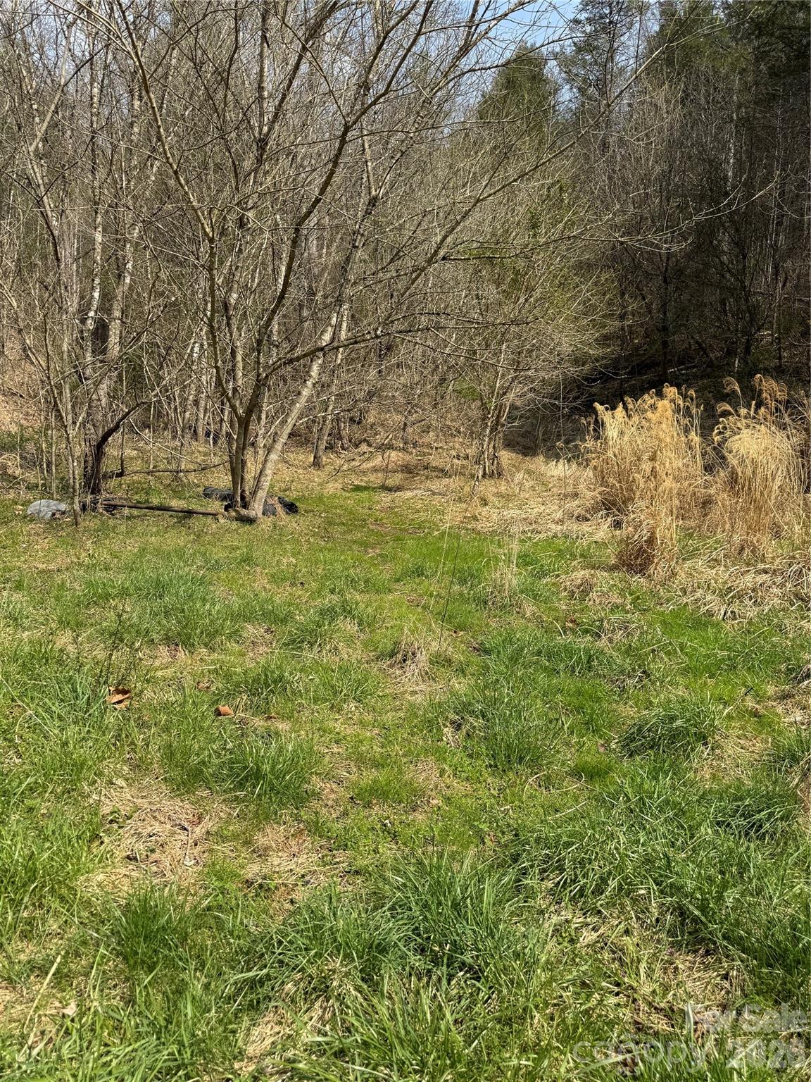 1820 Grapevine Road Marshall NC 28753
