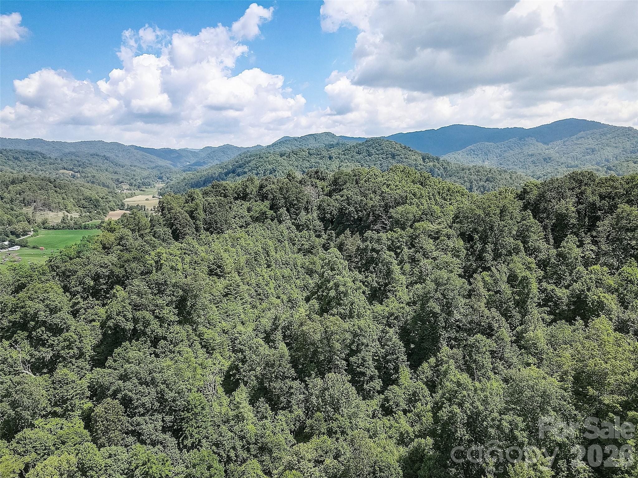 1820 Grapevine Road Marshall NC 28753