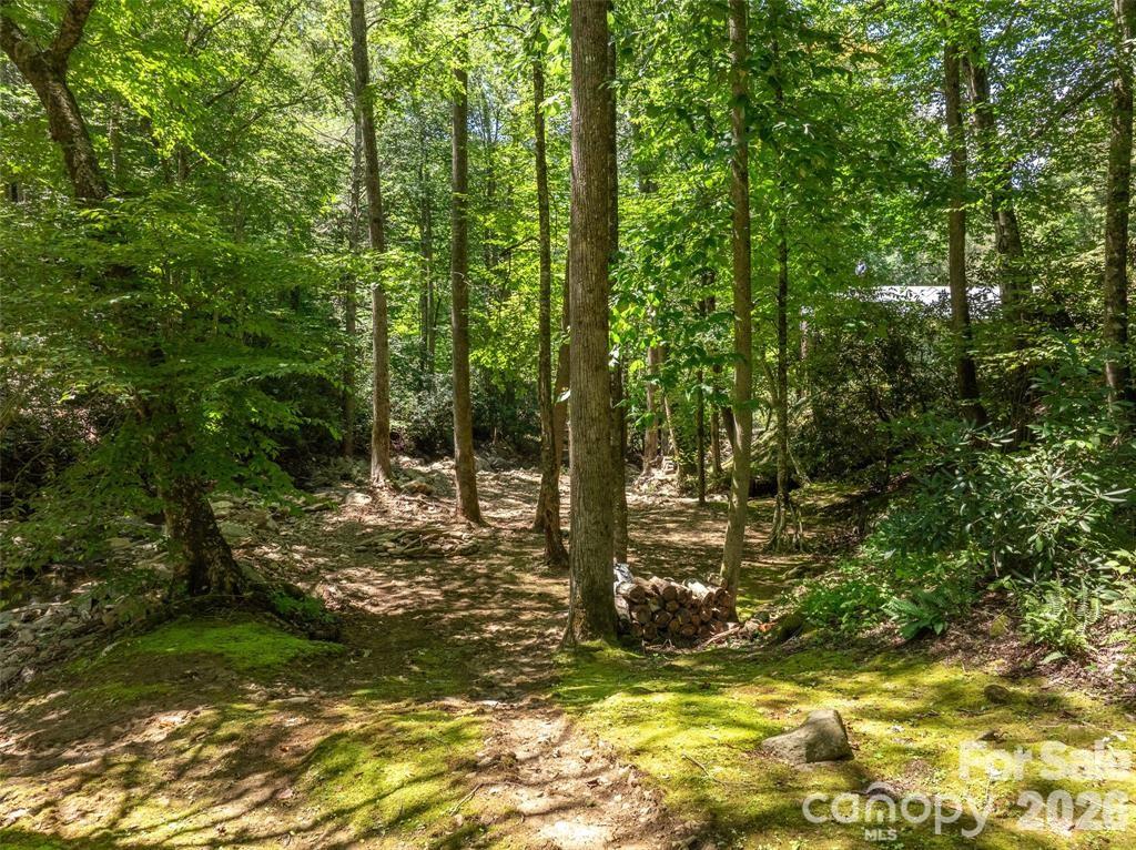347 Blackberry Inn Road Weaverville NC 28787