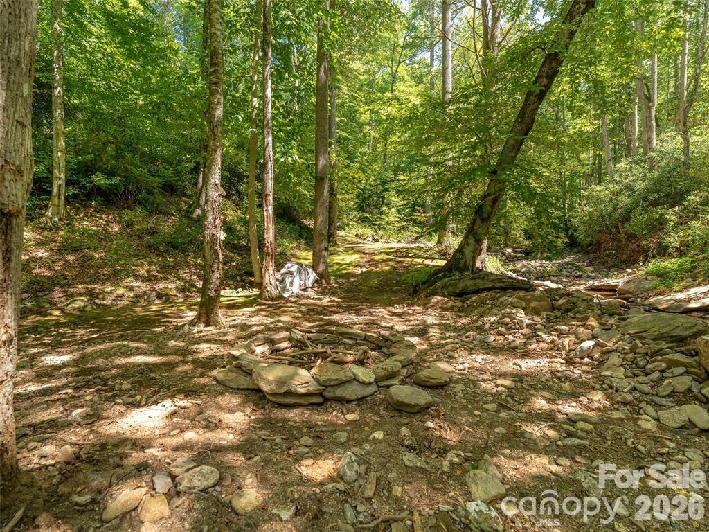 347 Blackberry Inn Road Weaverville NC 28787