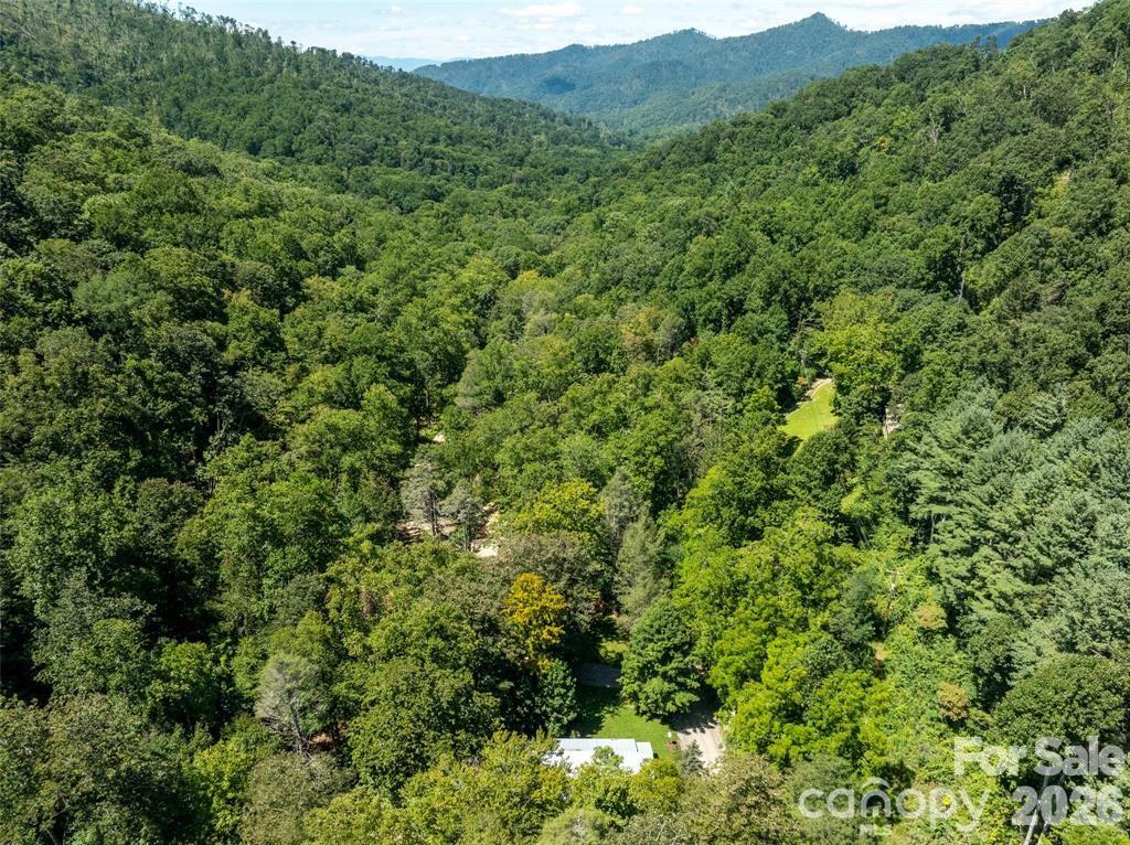 347 Blackberry Inn Road Weaverville NC 28787