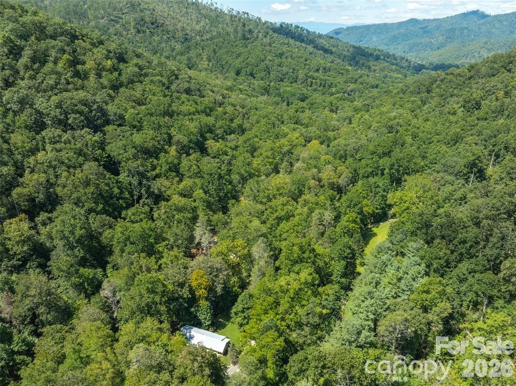 347 Blackberry Inn Road Weaverville NC 28787