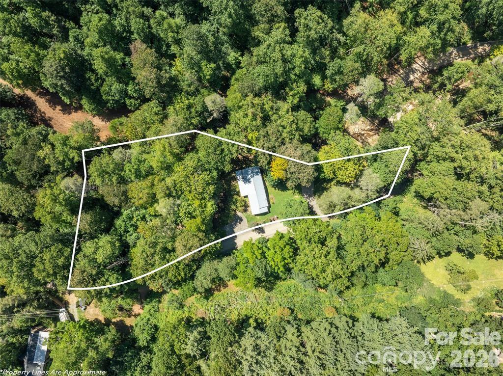 347 Blackberry Inn Road Weaverville NC 28787