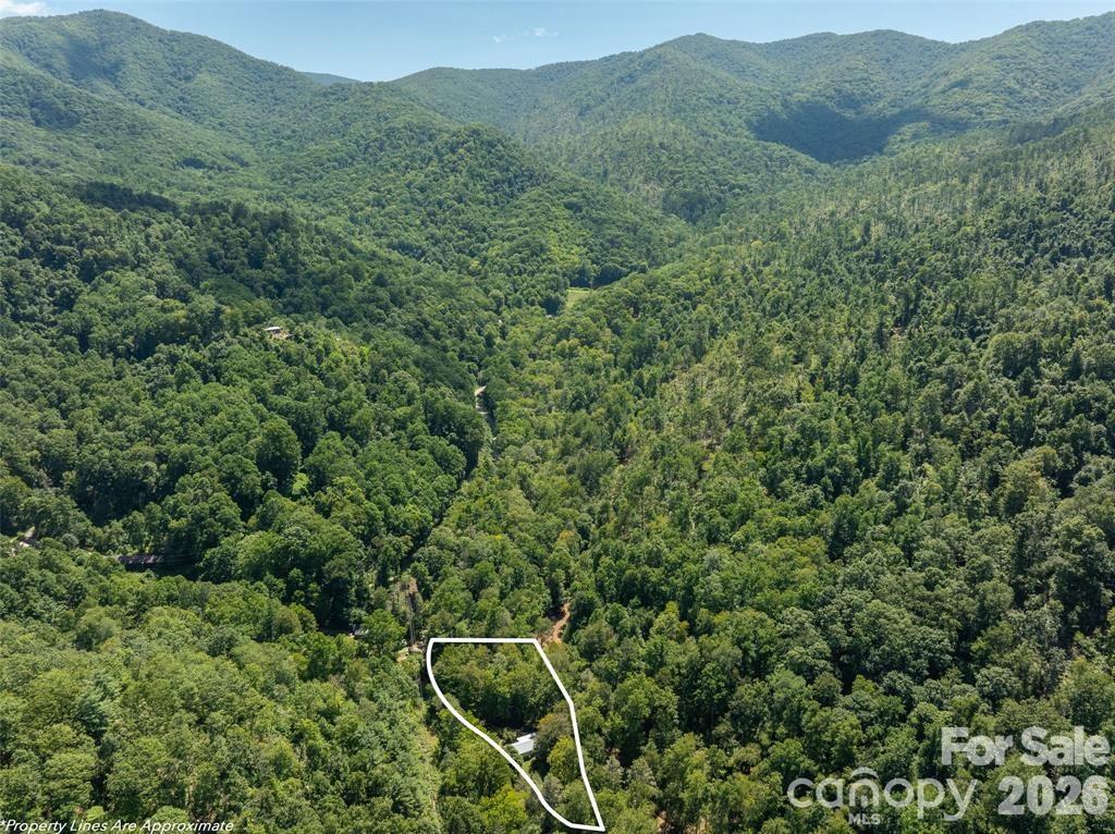 347 Blackberry Inn Road Weaverville NC 28787