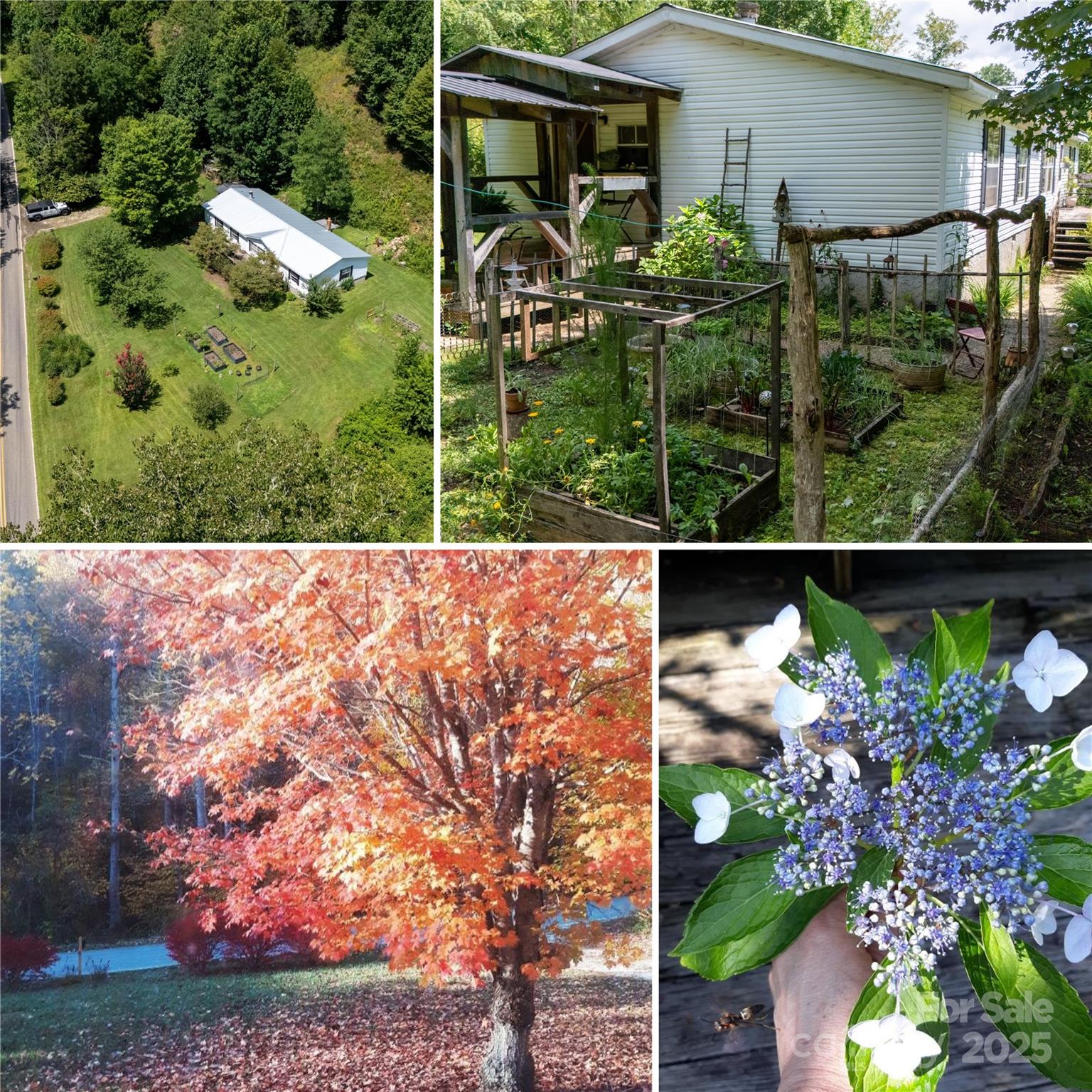 614 Upper Doe Bag Road Green Mountain NC 28740