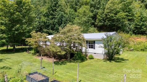 614 Upper Doe Bag Road Green Mountain NC 28740
