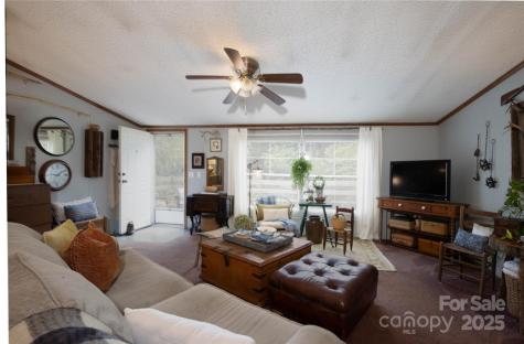 614 Upper Doe Bag Road Green Mountain NC 28740