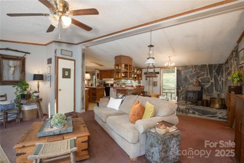 614 Upper Doe Bag Road Green Mountain NC 28740