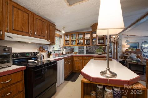 614 Upper Doe Bag Road Green Mountain NC 28740