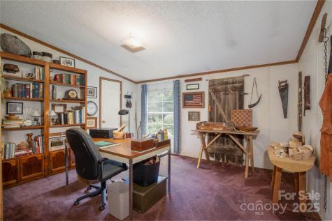 614 Upper Doe Bag Road Green Mountain NC 28740