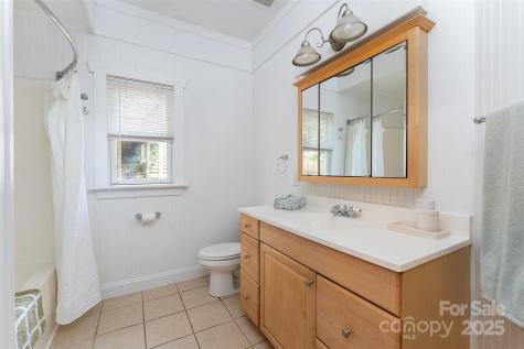 19 Castle Street Asheville NC 28803