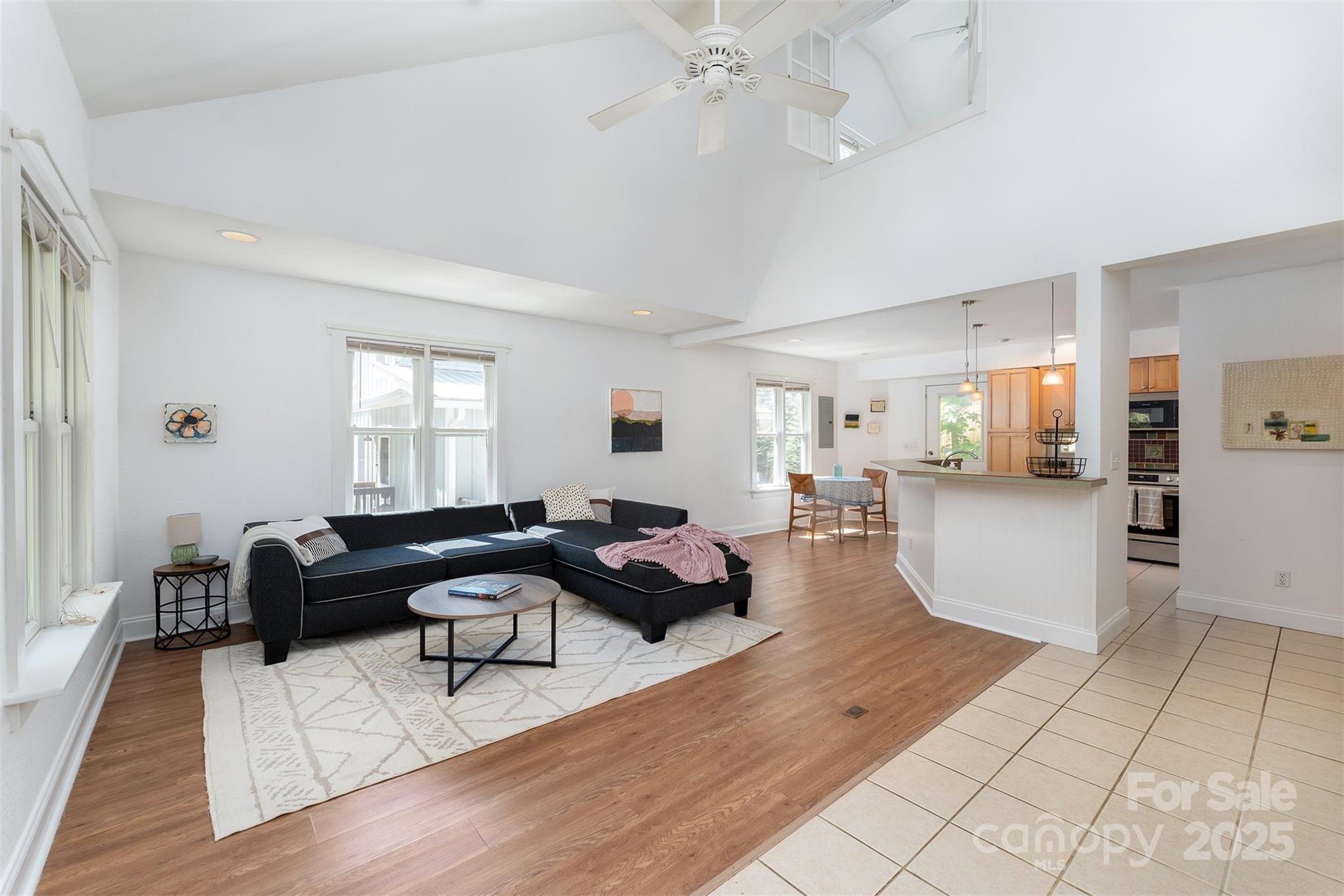 19 Castle Street Asheville NC 28803